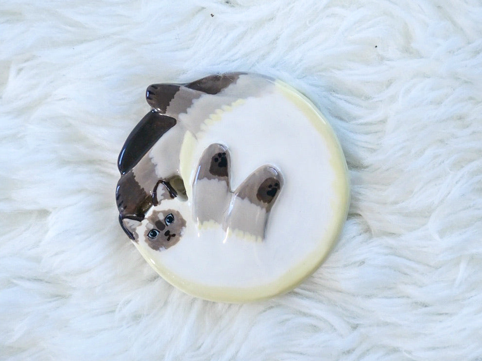 Cutie Cat Magnets